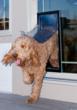 East Bay Replacement Windows Specialist, R & M Quality Windows and...